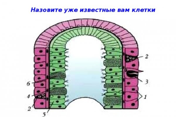 Как восстановить страницу на кракене