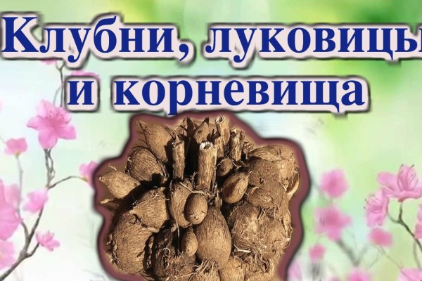 Восстановить аккаунт на кракене