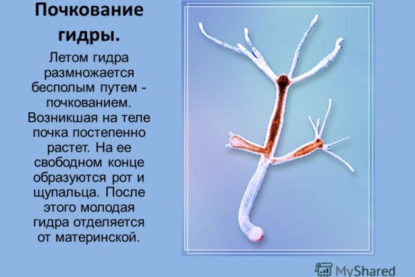 Как зайти на кракен